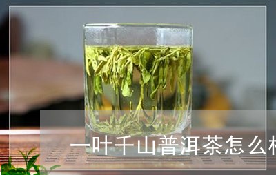 一叶千山普洱茶怎么样/2023092643593