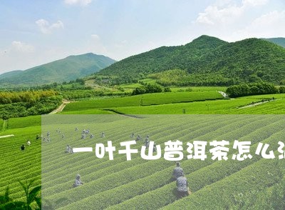 一叶千山普洱茶怎么泡/2023061534847