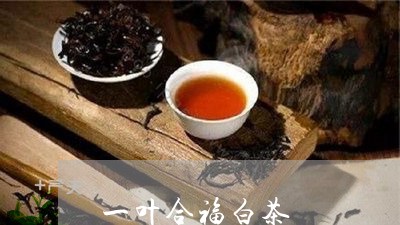 一叶合福白茶/2023051214138