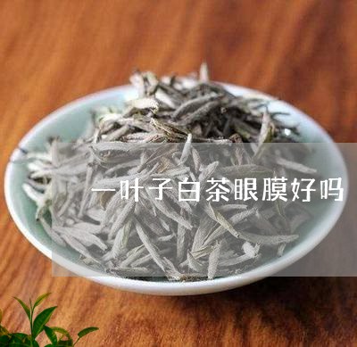 一叶子白茶眼膜好吗/2023121638604