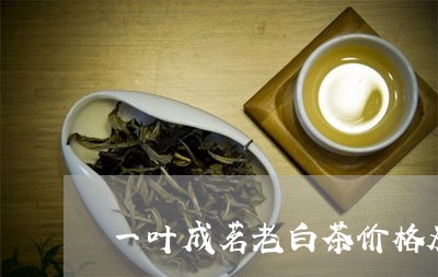 一叶成茗老白茶价格及图片/2023082564258