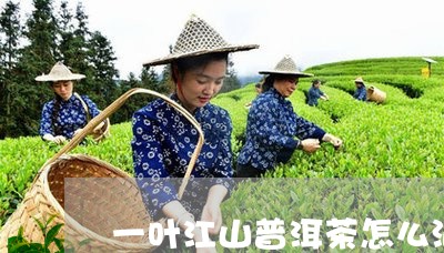 一叶江山普洱茶怎么泡/2023120649795