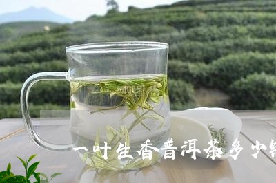 一叶生香普洱茶多少钱/2023072100682