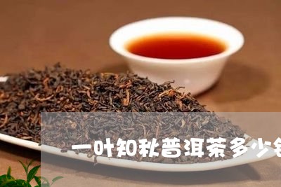 一叶知秋普洱茶多少钱/2023092592736