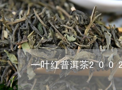 一叶红普洱茶2002/2023062322826