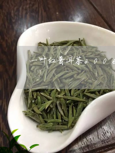 一叶红普洱茶2006/2023062081636