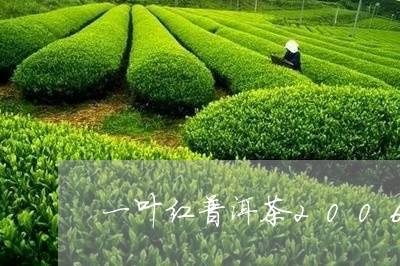 一叶红普洱茶2006/2023093028050