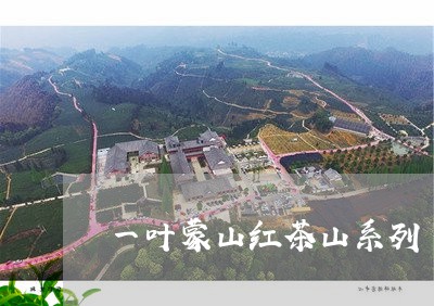 一叶蒙山红茶山系列/2023042297260