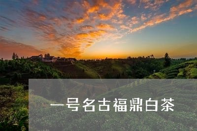 一号名古福鼎白茶/2023090569405