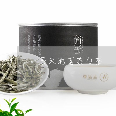 一号天池茗茶白茶/2023061409371