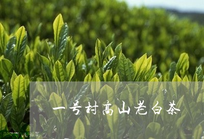 一号村高山老白茶/2023073186269