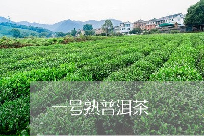 一号熟普洱茶/2023102570391