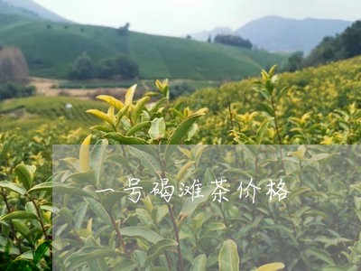 一号碣滩茶价格/2023050185599