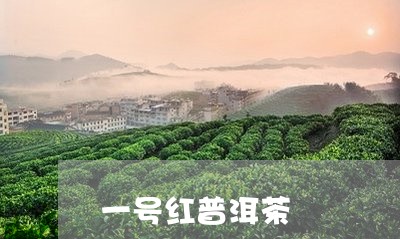 一号红普洱茶/2023081858404