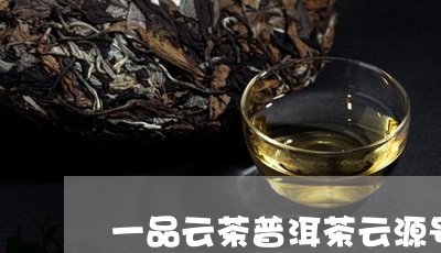 一品云茶普洱茶云源号价格/2023110207250