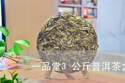 一品堂3公斤普洱茶大饼/2023101709693