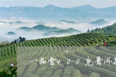 一品堂400克普洱茶/2023061496571