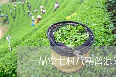 一品堂七村八寨普洱茶/2023061450593