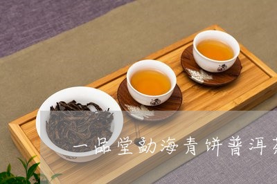 一品堂勐海青饼普洱茶/2023061351403