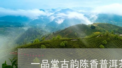 一品堂古韵陈香普洱茶/2023092692805