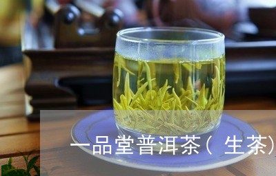 一品堂普洱茶(生茶)/2023062247372