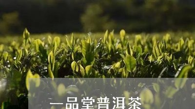 一品堂普洱茶/2023042959564