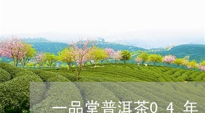 一品堂普洱茶04年/2023120508493