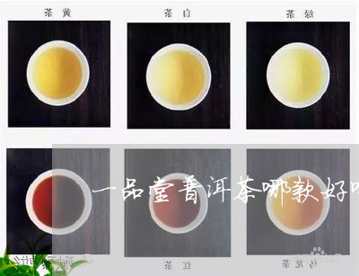 一品堂普洱茶哪款好喝点/2023082835947