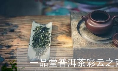 一品堂普洱茶彩云之南生茶/2023110204069