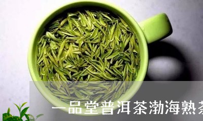 一品堂普洱茶渤海熟茶/2023093061706