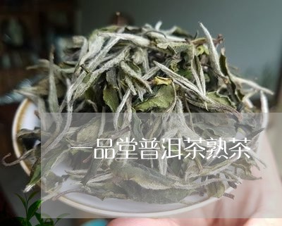 一品堂普洱茶熟茶/2023120506270