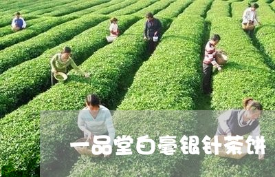 一品堂白毫银针茶饼/2023120594926