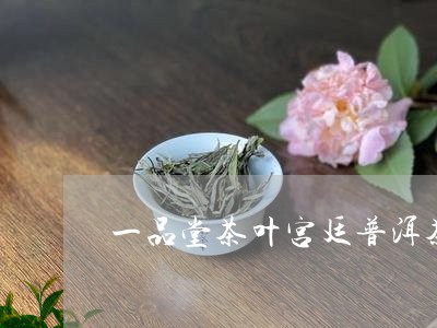 一品堂茶叶宫廷普洱茶/2023092759472