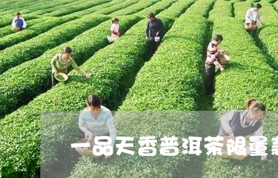 一品天香普洱茶限量款/2023072135130