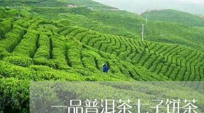 一品普洱茶七子饼茶/2023082844937