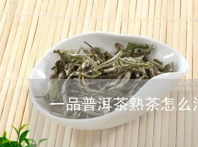 一品普洱茶熟茶怎么泡好/2023110530604