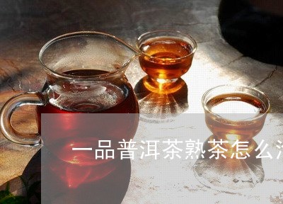 一品普洱茶熟茶怎么泡好喝/2023110572503