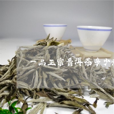 一品正宗普洱茶多少元/2023061675717