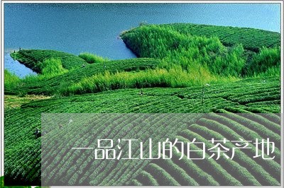 一品江山的白茶产地/2023121583938