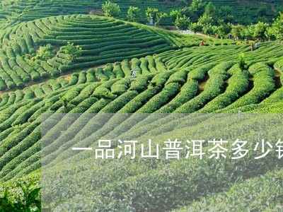 一品河山普洱茶多少钱/2023072105269