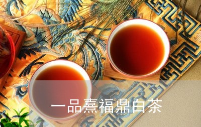 一品熹福鼎白茶/2023112502705