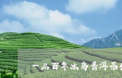 一品百年冰岛普洱茶生茶/2023120794179