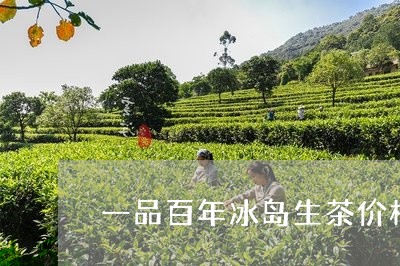 一品百年冰岛生茶价格/2023061287573