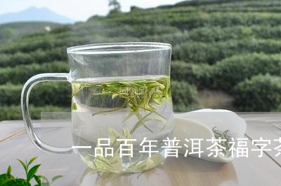 一品百年普洱茶福字茶/2023092750273