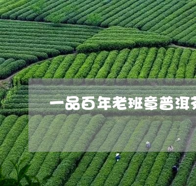 一品百年老班章普洱茶/2023101799394