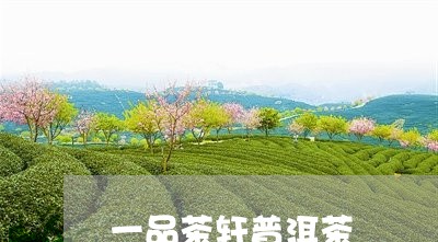 一品茶轩普洱茶/2023102630692