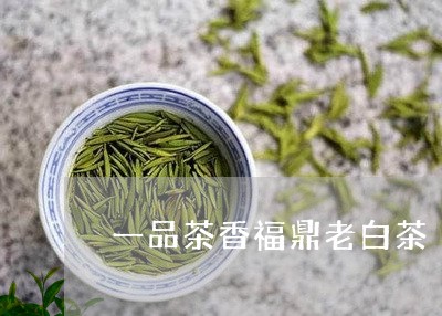 一品茶香福鼎老白茶/2023120325140