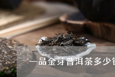 一品金芽普洱茶多少钱/2023061503148