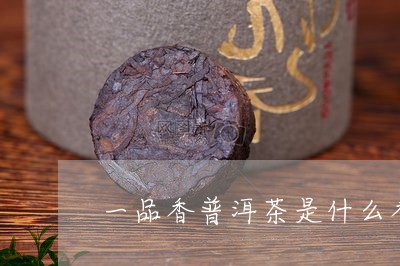 一品香普洱茶是什么香味的/2023110262727