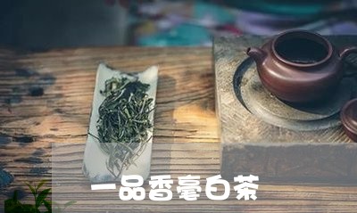 一品香毫白茶/2023051292705